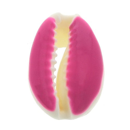 Coquillage Cauri avec résine époxy Fuchsia pour création de bijoux 20 à 25mm x1