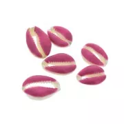 Coquillage Cauri avec résine époxy Fuchsia pour création de bijoux 20 à 25mm x1