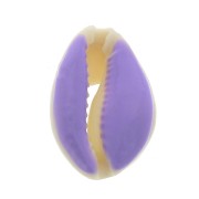 Coquillage Cauri avec résine époxy Violet pour la création de bijoux 20 à 25mm x1|raw }}