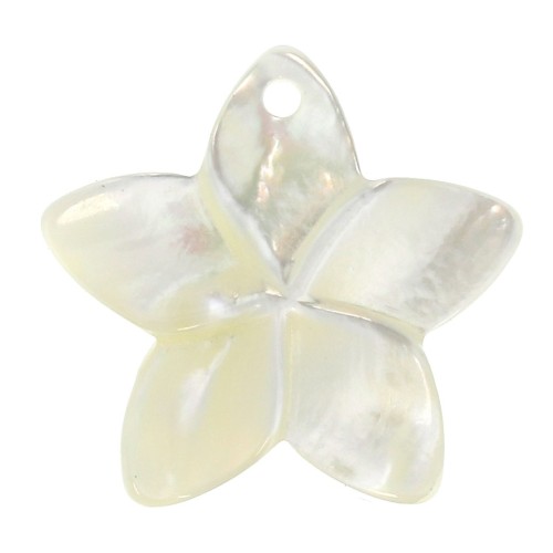 Pendentif Fleur nacre 18.5 mm pour la création de bijoux fantaisie -x1