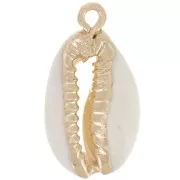 Pendentif coquillage cauri 21 mm Naturel - Doré x1