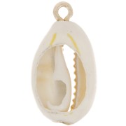 Pendentif coquillage cauri 21 mm Naturel - Doré x1