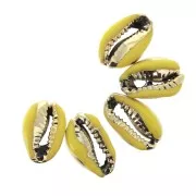 Coquillage Cauri avec résine époxy Jaune / Doré - 12 à 15 mm x1