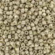 Miyuki Delica 11/0 DB1151 - Galvanized Semi Mat Silver x8g