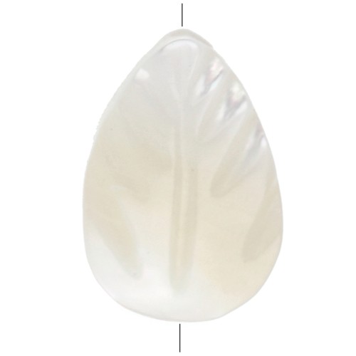 Perles en Nacre - Feuilles - 9.5x6. mm - pour la création de bijoux fantaisie x4