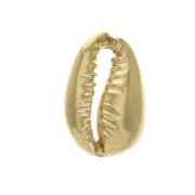 Intercalaire coquillage Cauri 14x9 mm - Plaqué Or 3 microns x1