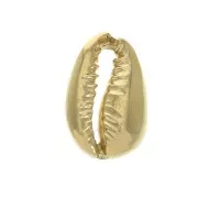 Intercalaire coquillage Cauri 14x9 mm - Plaqué Or 3 microns x1