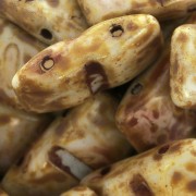 Perles verre tchèque Carrier Bead Groove 2trous 9x17 mm Opaque Dark Travertin x10|raw }}