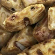 Perles verre tchèque Carrier Bead Groove 2trous 9x17 mm Opaque Dark Travertin x10