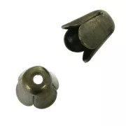 Coquilles tulipes 4 mm Bronze x10