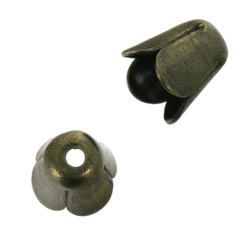 Coquilles tulipes 4 mm Bronze x10