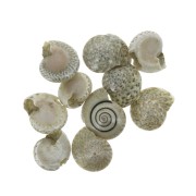 Assortiment de mini coquillages 10 mm brun naturel pour la création de bijoux x10|raw }}