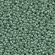 Rocaille Miyuki 11/0 1074 - Galvanized Sea Green x8g