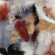 Plumes 8 à 12 cm pour bijoux et déco DIY - Naturel x10gr