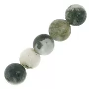 Perles rondes en pierre gemme 8 mm Tree Agate x10