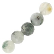 Perles rondes en pierre gemme 6 mm Tree Agate x15