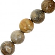 Perles Corail Fossilisé 10 mm x5|raw }}