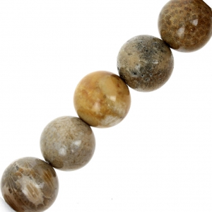 Perles Corail Fossilisé 10 mm x5