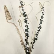 Gypsophile Jaune - fleur séchée pour création DIY x1 tige