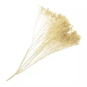 Gypsophile Blanchi - fleur séchée pour création DIY x1 tige