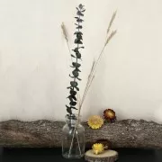 Briza Maxima Naturel - fleurs séchées pour création DIY x5 tiges