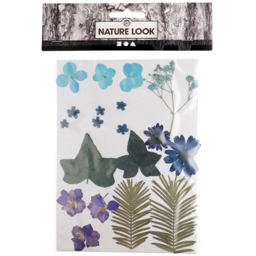 Assortiment de fleurs séchées et pressées pour création diy - Bleu x1