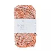 Coton Ricorumi Print par Rico Design pour Amigurumi - Saumon Mix 003 x25g