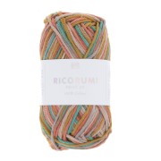 Coton Ricorumi Print par Rico Design pour Amigurumi - Multicolore 004 x25g|raw }}