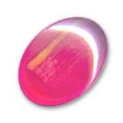 Cabochon ovale 18x13 mm Rose/Gold x1