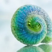 Microbilles sans trou 50 à 630 micromètres -  Preciosa Ornella - Purple x50g