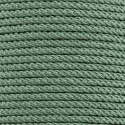 Cordon en polyester tressé 2 mm - Vert feuille x1m