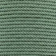 Cordon en polyester tressé 2 mm - Vert feuille x1m