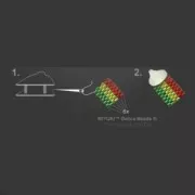 Fermoir mousqueton 9 mm pour Miyuki 11/0 6 rangs en Argent 925 Doré à l'or fin x1