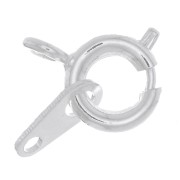 Fermoir à ressort 6 mm avec attache tag argenté x144|raw }}