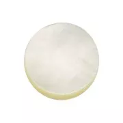 Cabochon plat rond 8 mm en nacre x1