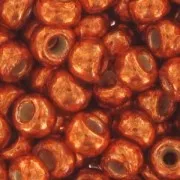 Rocaille Toho 11/0 TO11RPF562 - PF Galvanized Saffron x8g