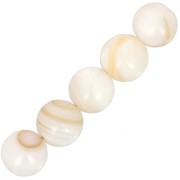 Perles rondes Coquillage 7 mm - Naturel x10