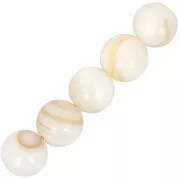 Perles rondes Coquillage 7 mm - Naturel x10