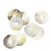 Pendentif rond en Nacre - étoile du nord ajourée - 19 mm x1