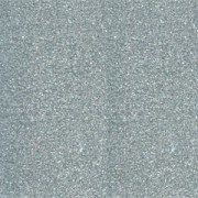 Poudre à embosser Silver x 25 ml