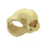 Pendentif coquillage 14x12 mm - Doré satiné x1