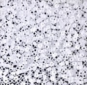 Miyuki Delica 11/0 DB0741 - Crystal Mat paquet de 100g