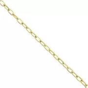 Chaîne maille Forçat rectangle 2.1 mm en Acier inoxydable 316L Doré x50cm