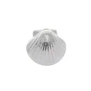 Mini breloque coquillage 7.5x8 mm - Placage argent fin x1