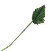 Feuille de palmier séchée Verte pour création DIY x1 tige|raw }}