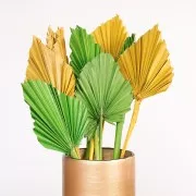 Feuille de palmier séchée Verte pour création DIY x1 tige