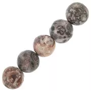 Perles rondes en pierre gemme 8 mm - Jaspe Leopard x10