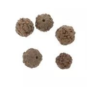 Perles graines naturelles de Rudraksha larmes de shiva 8 mm x20