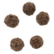 Perles graines naturelles de Rudraksha larmes de shiva 12 mm x10