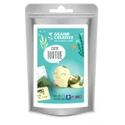 Kit modelage en pâte Fimo - Mini figurine Tortue x1